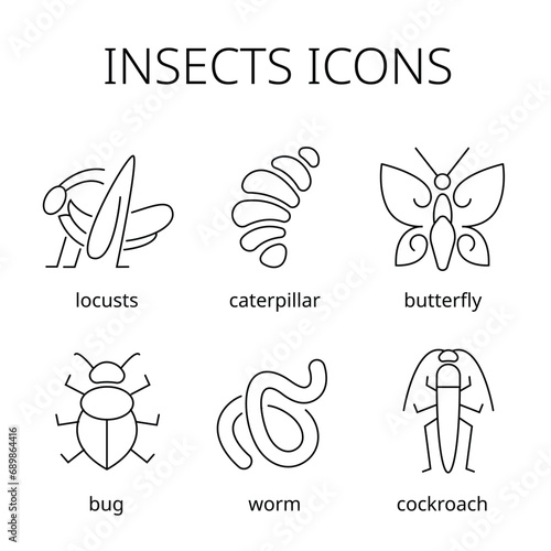 
eating insects vector art line design food new technology icons line art grasshopper locust beetle cockroach butterfly worm larva Asia China Thailand food