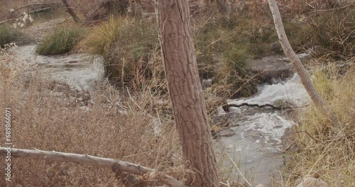 Running stream in the forest in autumn	