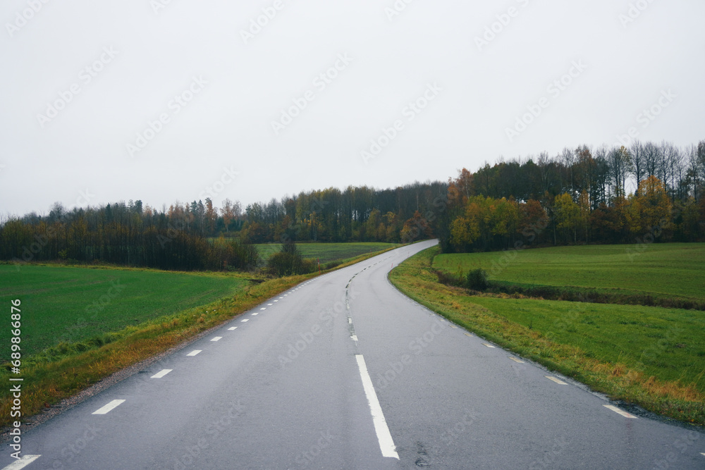 View of a road during autumn