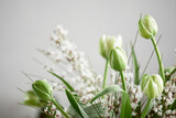 Close up of beautiful white tulips flowers, with copy space, minimalistic colors,