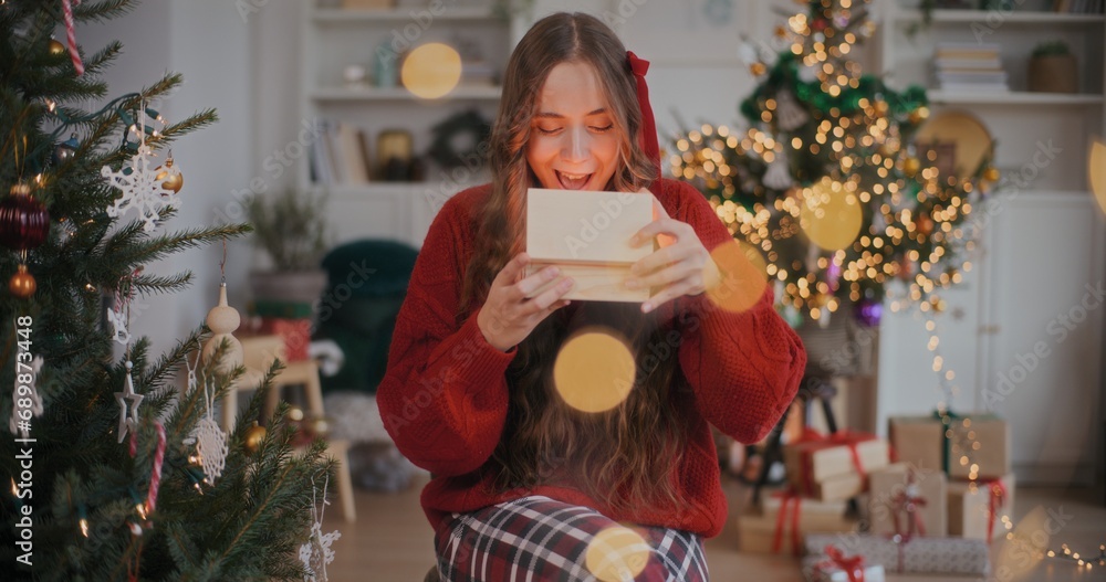 Woman Holding Christmas Gift Enjoying Christmas Holidays