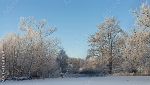 Wallpaper Mural Panning of winter landscape with trees covered in snow, ice and rime frost Torontodigital.ca