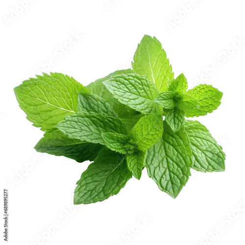 isolated transparent background mint leaves
