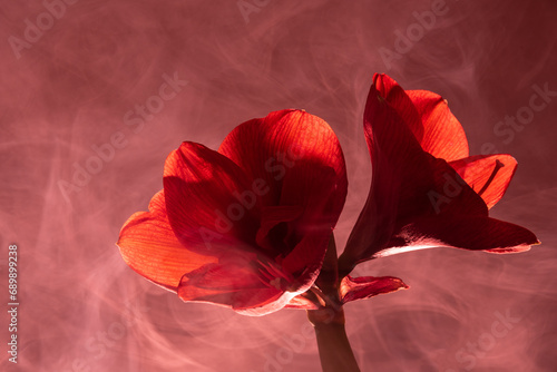 Fleurs rouges
