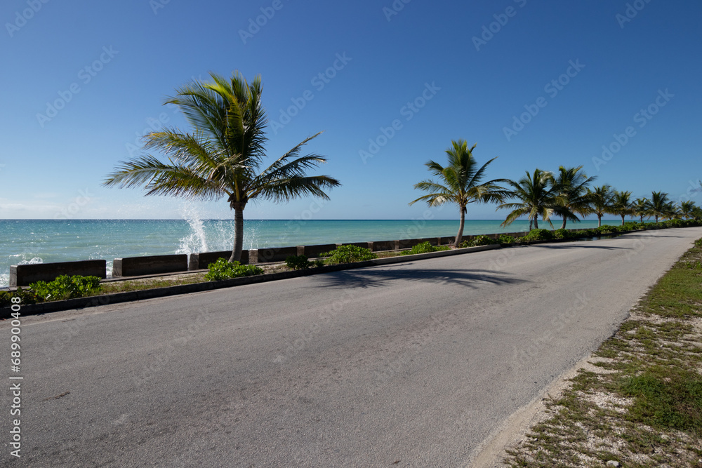 Palm trees beside a coastal road
