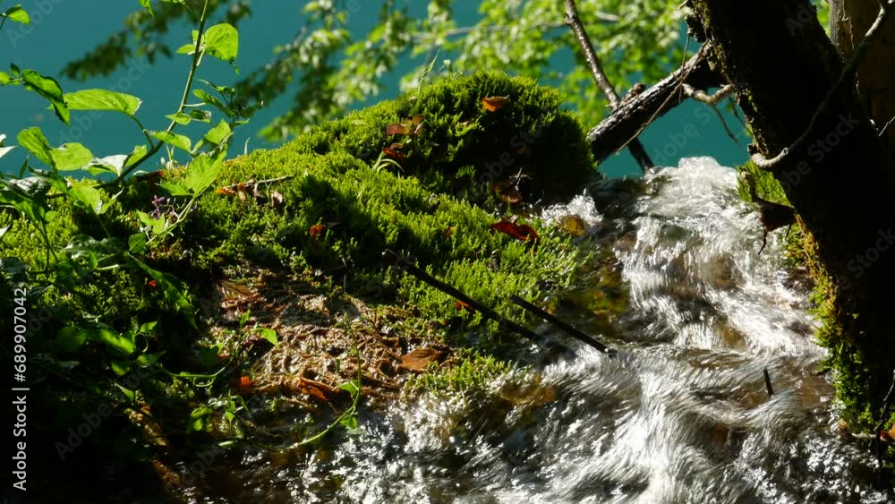 custom made wallpaper toronto digitalWater Stream in Plitvice Lakes National Park on a Sunny Summer Day