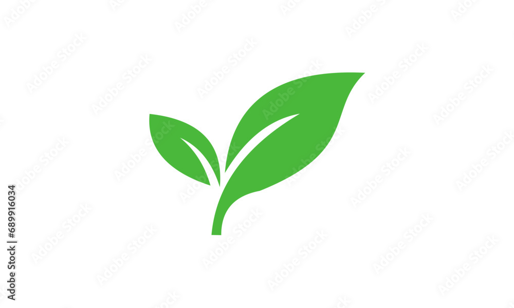 green plant isolated on white background green plant isolated on white background