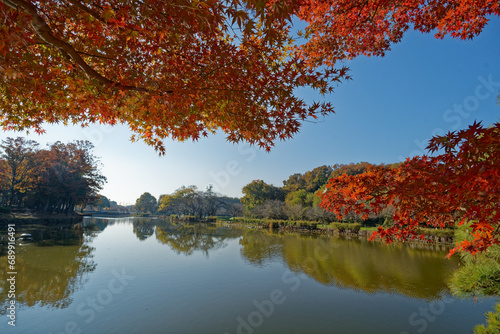 赤いモミジが彩る公園