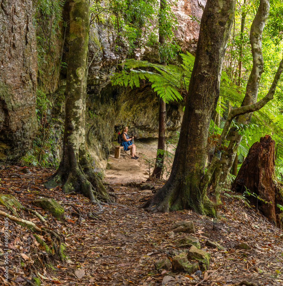 Obraz premium A woman hiker and tourist sitting on a bench, framed by trees on a hiking trail at Springbrook on the Gold Coast in Queensland, Australia.