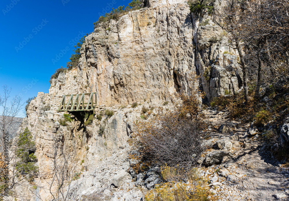 Wooden Bridge on Cliff Ledge, Guadalupe Peak Trail, Guadalupe Mountains National Park, Texas, USA