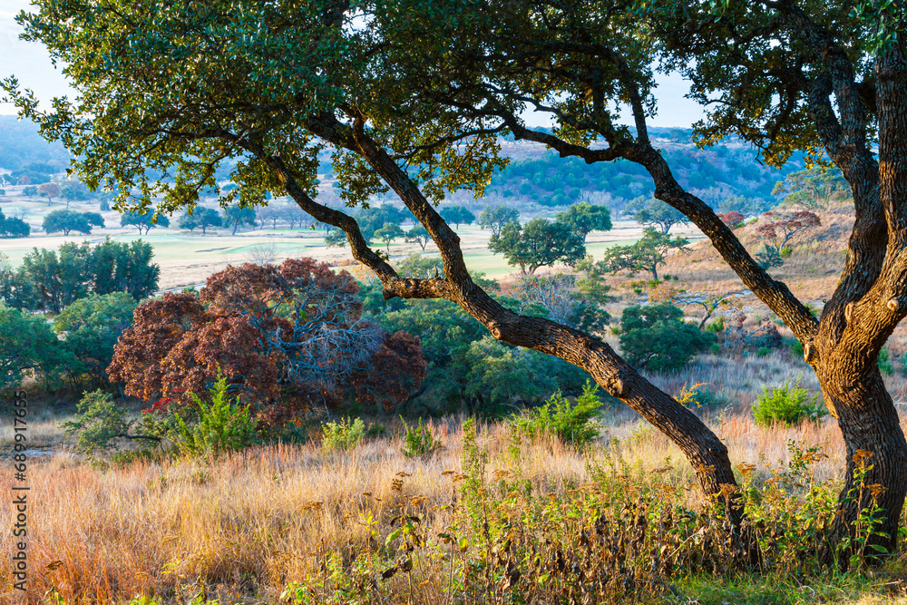 Fall Color in the Texas Hill Country, Fredericksburg, Texas, USA - obrazy, fototapety, plakaty 