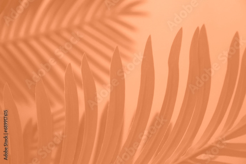 Shadow leaf dypsis on Peach Fuzz color wall. Peach Fuzz Pantone color of the year 2024. Monochrome background.