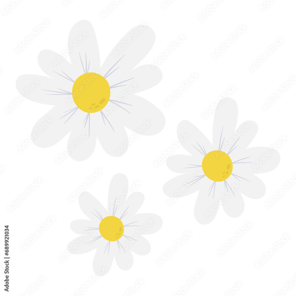 daisies flowers vector illustration daisies flowers vector illustration