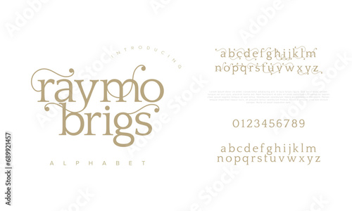 Raymobrigs premium luxury elegant alphabet letters and numbers. Elegant wedding typography classic serif font decorative vintage retro. Creative vector illustration