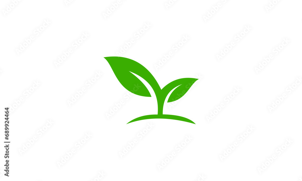 plant isolated on white background plant isolated on white background