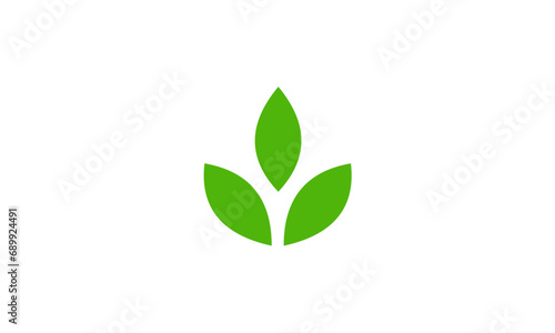 green leaf isolated on white background © goodskin
