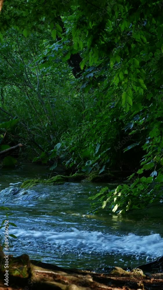 Water Cascading in Plitvice Lakes National Park in Summer Water Cascading in Plitvice Lakes National Park in Summer