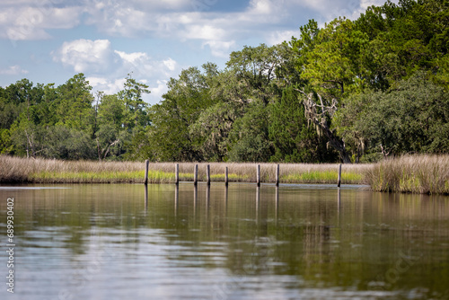 Kayaking in the Lowcountry USA