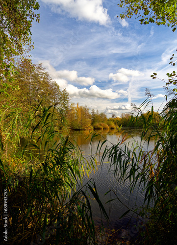 Ehemalige Baggerseen am Main bei Grafenrheinfeld, Landkreis Schweinfurt, Unterfranken, Franken, Bayern, Deutschland