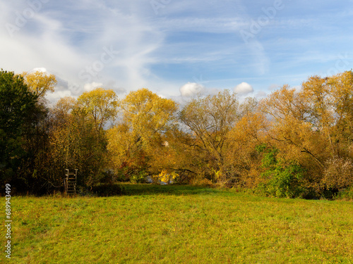 Am Main bei Grafenrheinfeld, Landkreis Schweinfurt, Unterfranken, Franken, Bayern, Deutschland