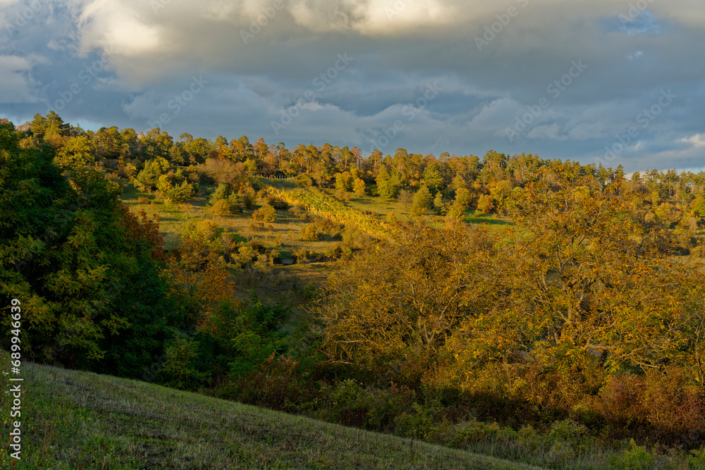 Fototapeta premium Landschaft im NSG Trockengebiete bei Machtilshausen, Landkreis Bad Kissingen, Unterfranken, Franken, Bayern, Deutschland