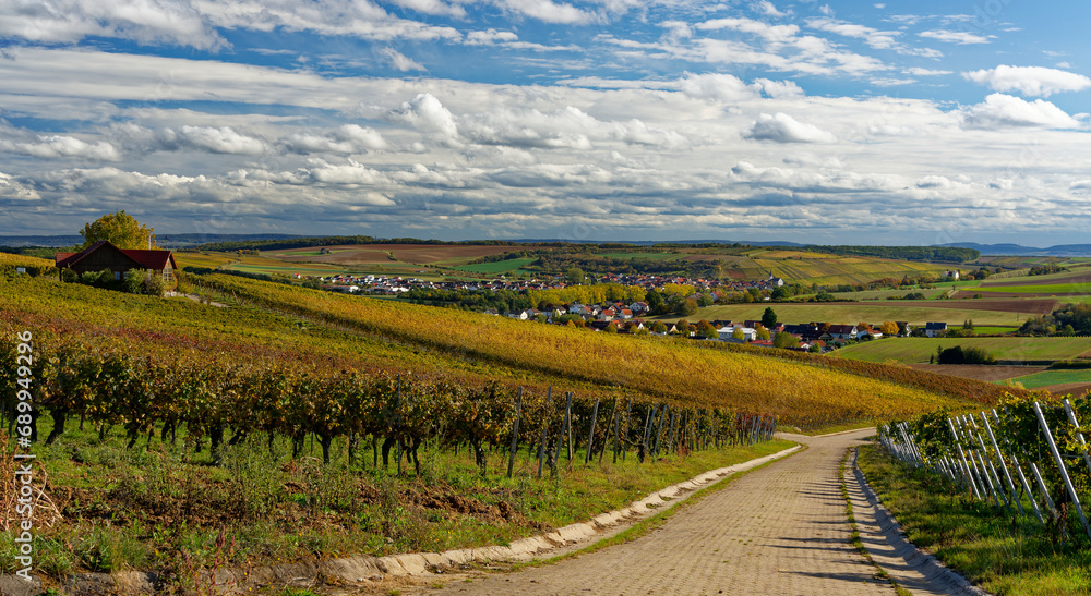 Obraz premium Landschaft und Weinberge bei Wipfeld, Landkreis Schweinfurt, Unterfranken, Franken, Bayern, Deutschland
