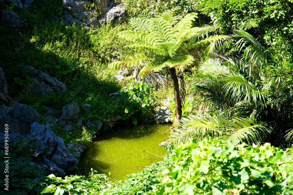 Fototapeta premium Landscape of Yanbaru National Park, Okinawa