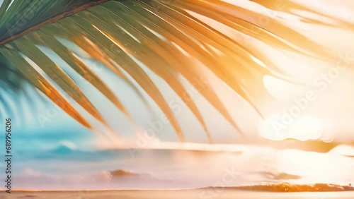 summer background of a beach with palm leaves photo
