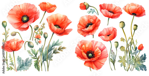  Red poppy watercolor illustration clipart. Generative AI photo