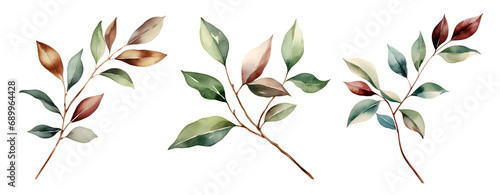 Branch with leaves, watercolor clipart illustration with isolated background. photo