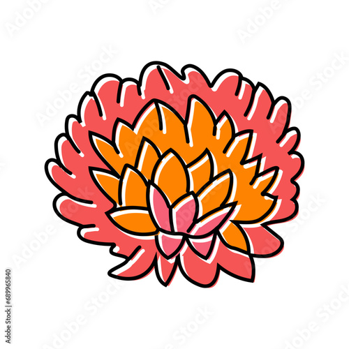 chrysanthemum blossom spring color icon vector. chrysanthemum blossom spring sign. isolated symbol illustration