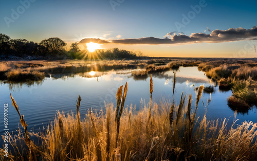 Ethereal Elegance, A Majestic Winter Sunrise Blanketing a Frozen Marshland in Golden Hues