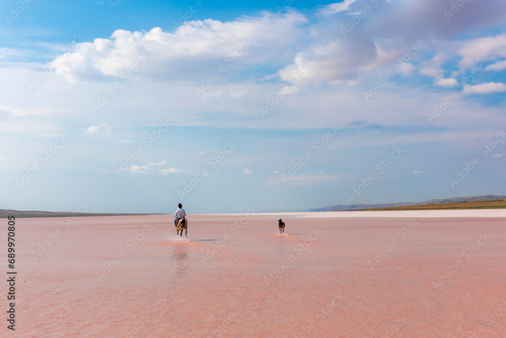 Horseback riding in the shallow waters of the salt lake, which turns pink in September, is very fun.