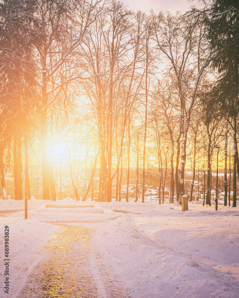Sunset or dawn in a winter city park with trees benches and sidewalks