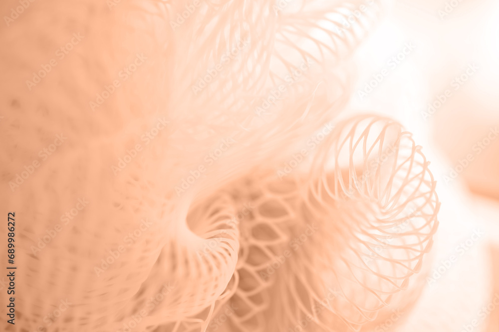 image to crop