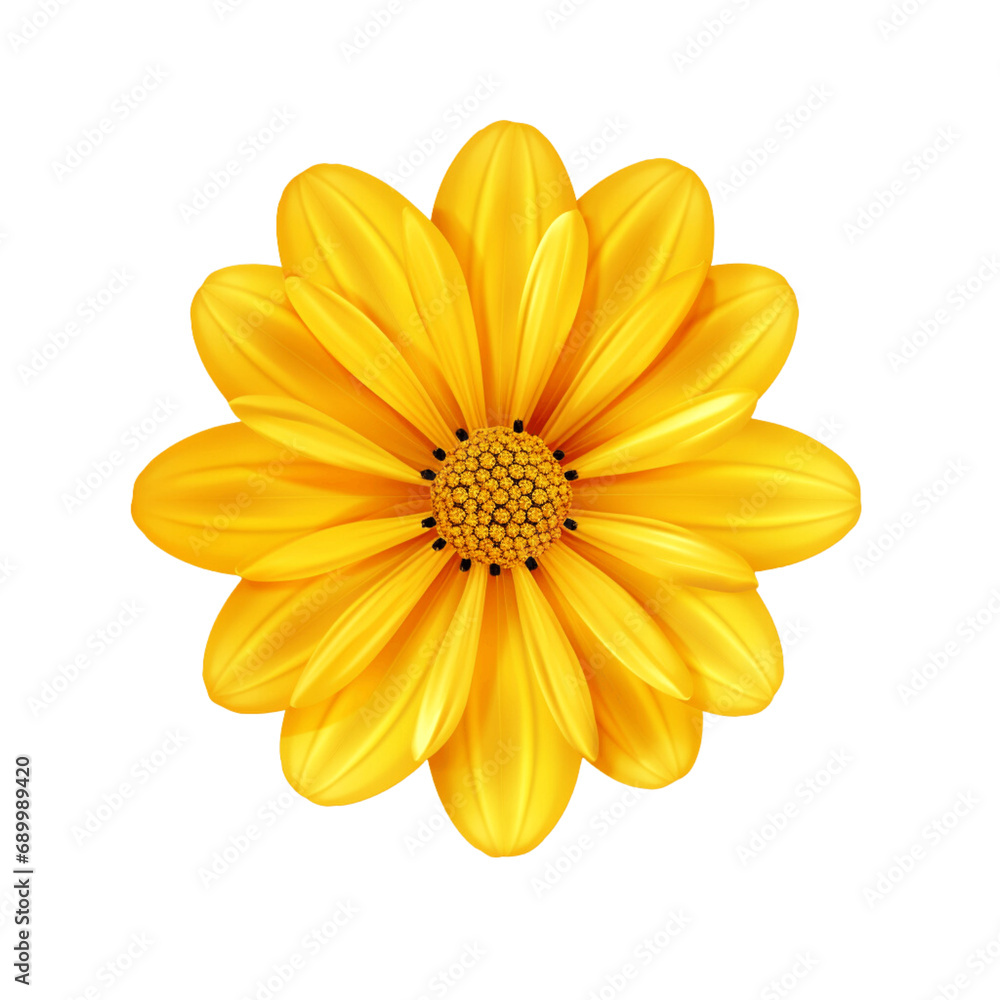 Obraz premium yellow flower - 1