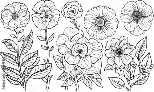 A line drawing of flowers and leaves