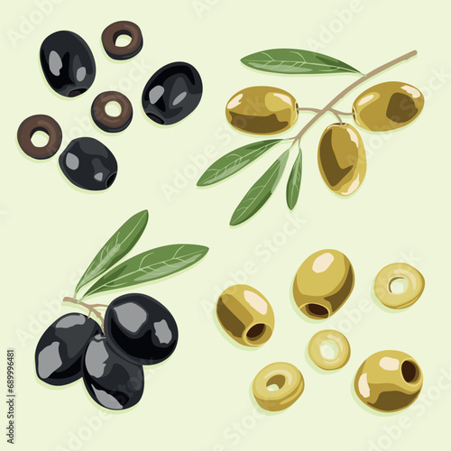 A set of olives on a branch with leaves and pitted olives. Vector image.