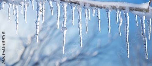 Icicles hanging from icy branch after winter storm.