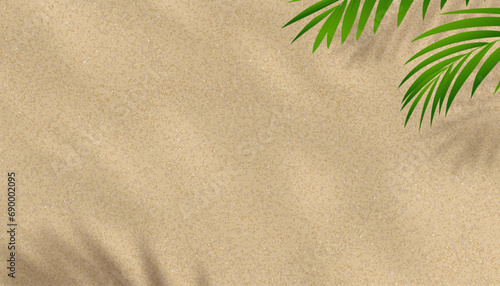 beSand texture background with palm leaves silhouette,Coconut leaf Shadow on Brown Sandy Beach,Vector top view Sand Surface,Backdrop background Wide Horizon Desert dune for Summer Product Presentation