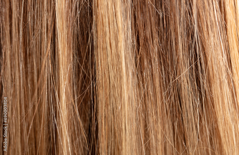 Highlighted women's hair as a background. Texture Highlighted women's hair as a background. Texture