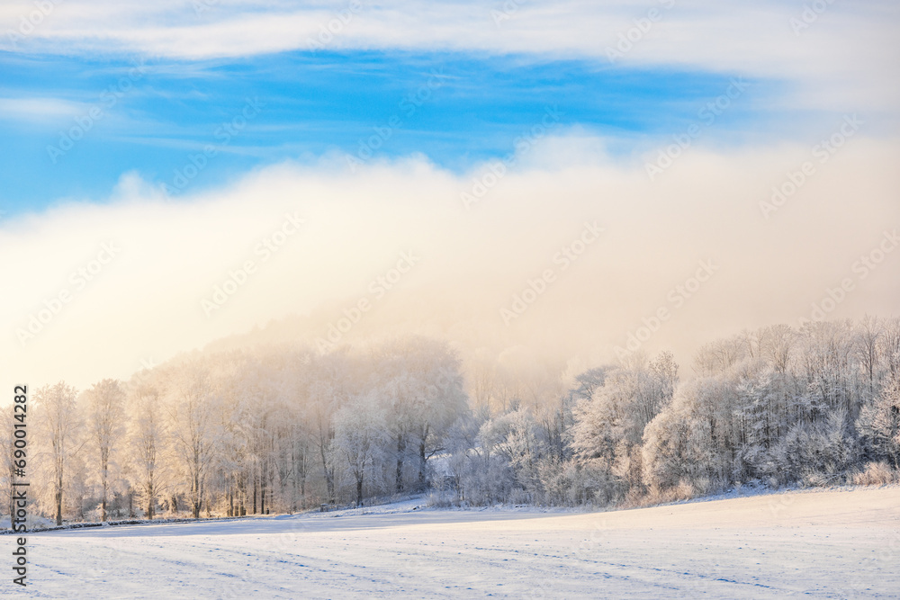 Frosty forest with mist a cold winter day