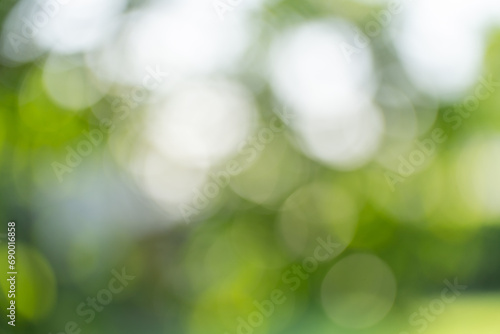 Blur green bokeh with light flare outdoor natural garden, Green natural garden Blur background. 