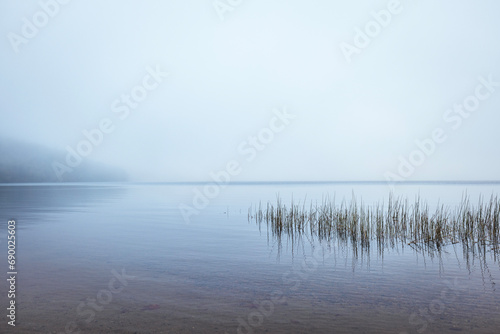 grassy shoreline and calm water in mist and fog, Donnell Pond, Maine