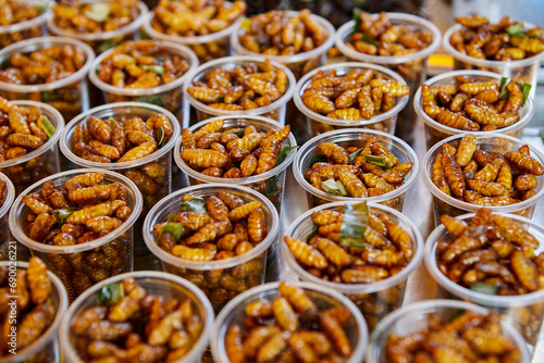 Deep fried silkworms chrysalis in plastic cup at street food photo