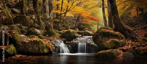 Autumn forest waterfall.
