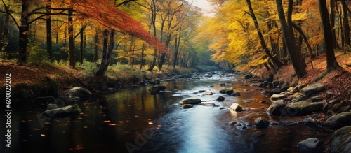 River in an autumn forest.