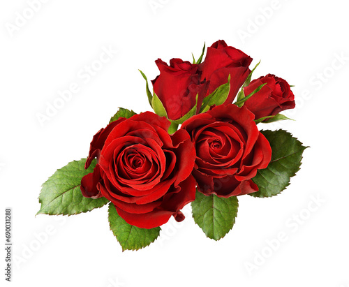 Red rose flower and green l...