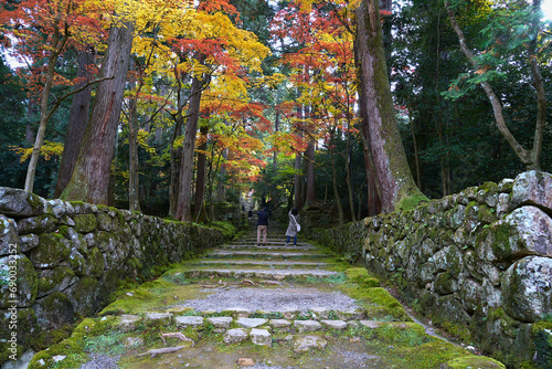 Moss-covered stone steps where tourists take photos of the beautiful maple trees inside Saimyo-ji Temple. photo