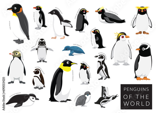 Birds Penguins of the World Set Cartoon Vector Character photo